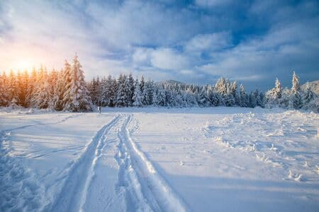 adrium Acryl-Bild 110 x 70 cm: Winterlandschaftsbäume im Frost (71331270)