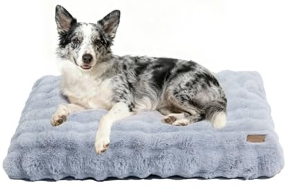 BingoPaw Panier Chien Grande Taille: 105x70x12cm Coussin Chien XL Déhoussable et Lavable en Machine, Tapis Matelas Lit Confortable, Tissu Peluche Doux, Gris