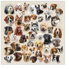 Ambiente Paper Napkins Serviette Lunch 33 x 33 cm Collection of Dogs Design 20 Pieces per Pack