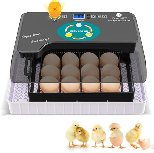 12 Eier Inkubator Hühner Vollautomatisch Automatischer digitaler Brutkasten Inkubator Hühner mit LED Beleuchtung Temperaturregelung Auto-Flip, für Hühner Enten Gänse Taube