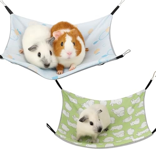 ZocRjvN 2 pezzi amaca porcellini d'India per piccoli animali domestici, accessori furetti, amaca estiva per criceti e porcellini d'India, 28 x 28 cm, verde e blu