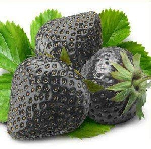 ! Promozione fragola gigante semi dolce fragola quattro stagioni, Rare, fragrante, dolce & Juicy - 200 pc / lotto, # JO9E8A