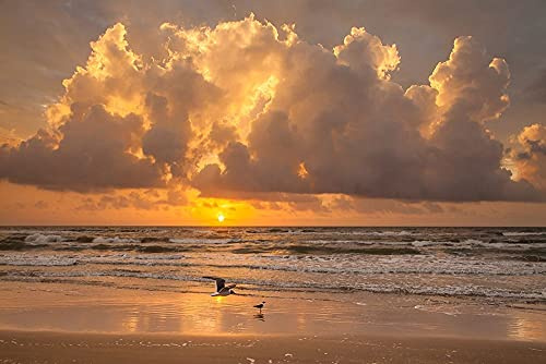 ArtExpert Sunrise on Gulf of Mexico at South Padre Island by Larry Ditto - 18x12 Art Print Poster