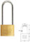 WOLFPACK LINEA PROFESIONAL - Candado Laton Arco Largo Llaves Iguales 30 mm. Nº1