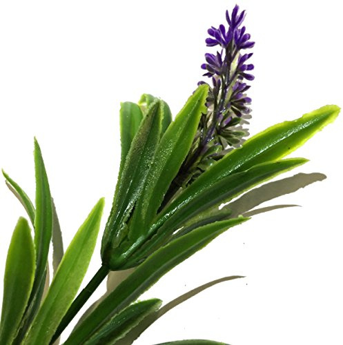 AllCachedUp Realistic Lavender Geocache Nano Container Logged Ready to Hide Waterproof