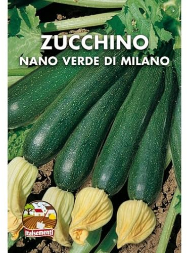 Italsementi Zucchino Verde di Milano