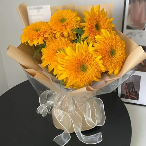 300 pcs Sonnenblumensamen zum pflanzen (Teddybär) wildblumensamen, balkon Sonnenblumensamen (Teddybär) kräutersamen, kleine geschenke blumen balkon, bonsai samen flowers, pflanzen