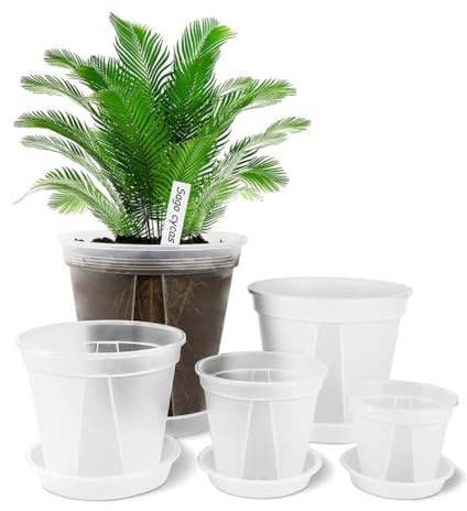 Buhdjfnke Lot de 10 pots de culture transparents avec drainage en plastique pour plantes avec trous de drainage pour plantes Monstera, plantes succulentes, etc. pour plantes avec trous de drainage.