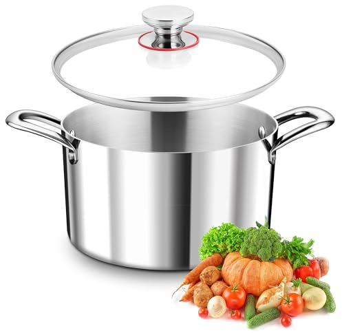 TEAMFAR Kochtopf, 3-Lagen Edeastahl 22cm Topf Induktion mit Glasdeckel, 4,75L Nudeltopf Fleischtopf für alle Herdarten, Edeastahl poliert & Unbeschichtet