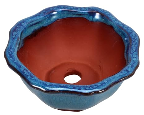 Ciieeo Maceta de Cerámica para Bonsáis y Suculentas, Resistente al Agua, Tamaño Pequeño para Escritorio, Jardinera Decorativa para Orquídeas y Plantas Pequeñas, Adecuado para Interior