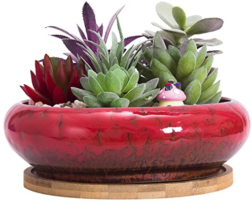 ARTKETTY Vaso per Piante Grasse, Vaso Bonsai Grande con Vassoio di Drenaggio in Ceramica per Piante Cactus da Interno Vaso Fioriera Rotondo
