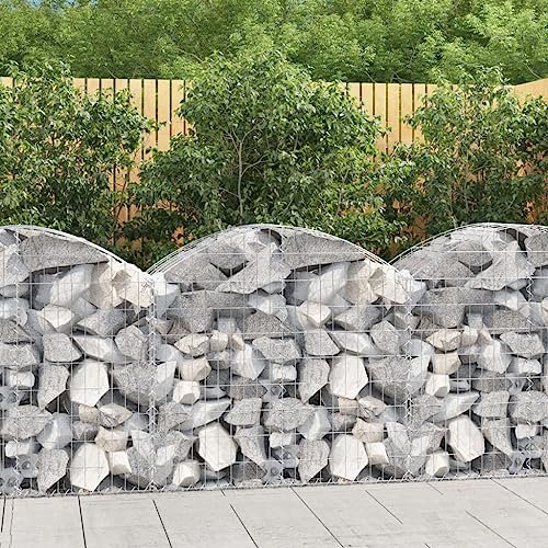 Youuihom Fioriere da Giardino Cassette per la Coltivazione di Ortaggi Cesto Gabbione ad Arco 100x50x80/100 cm Ferro Zincato Adatta a Balconi, Verande, Giardini e Cortili