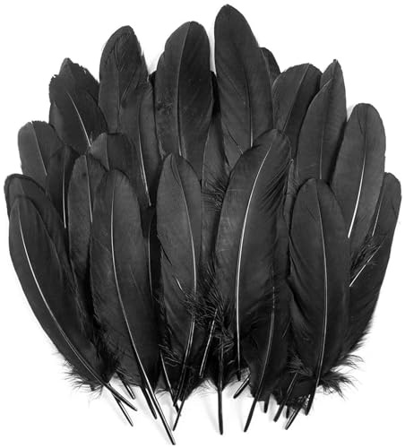 JDCMEI 100 Stück Schwarze Federn, Federn zum Basteln Schwarz Gänsefedern Natürliche Bastelfedern Flaumfedern Bastelfedern für Traumfänger Kostüme Hochzeit Halloween Party Dekorationen