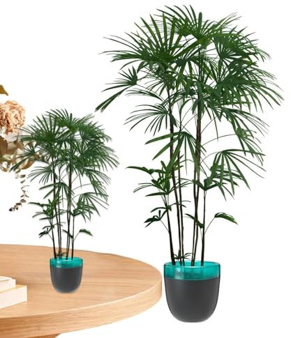Pots de fleurs à arrosage automatique Pépinière Ventilée Pour Xérophytes