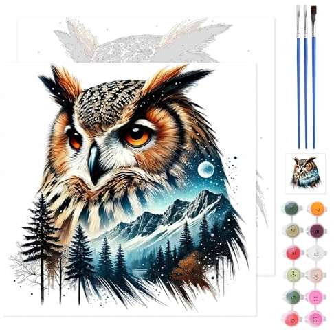 TLIOBLO Owl Peinture par Numéros pour Adulte, DIY Animal Peinture pour Adultes Enfants Débutants Facile sur Toile avec Peintures et Pinceaux, Décor Maison Cadeaux 35x35cm