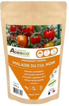 Cul noir, Nécrose apicale (600 Grammes)