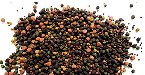 Koifutter Fischfutter Teichfutter schwimmend Verschiedene Sorten 5 Kg Beutel (Koi 3-6 mm 5 Kg gemischt)