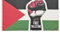 Pandiui23 Bandiera della Palestina, 150 x 90 cm, Red, White, Black, Patriottico