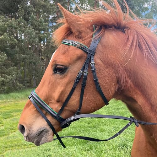 Brama West Ledertrense Pferd Sparkle - englisch kombiniert - Reithalfter mit Antislip Zügel und Strasssteinen - Grün, Gr. Minishetty