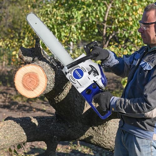 58cc Gas Chainsaw, 20 Inch Gas Powered Chainsaw, 2-Stroke High Power Chain Saw, Logging Tool for Wood Cutting, Tree Trimming, Handheld Gas Chain, Automatic Oiler, Low Kickback, Heavy Duty Engine Blue