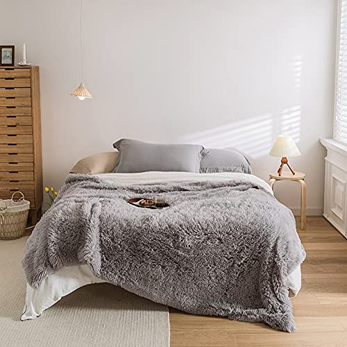 Ricemru Boho Kuscheldecke Langhaar Lammfelloptik Grau 150x200 Wendedecke Flauschige Flauschdecke Fleecedecke Lammfelldecke Tagesdecke Sofadecke und TV-Decke