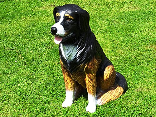 DEKO VERTRIEB BAYERN XL Berner Sennenhund LEBENSGROSS~Figur~HUNDEFIGUR LEBENSGRÖSSE~Hund Deluxe Gartendeko 80cm~Garten Dekoration