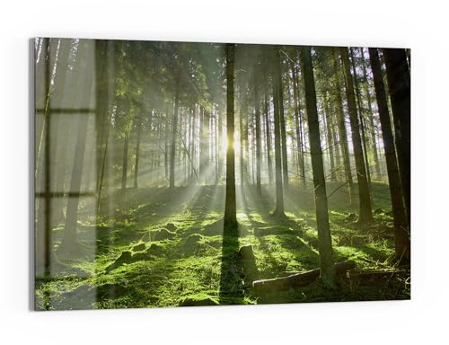 DEQORI Glas-Magnettafel | 90x60 cm cm groß | Motiv Waldlichtspiele | Memo-Board aus Glas | Magnetboard inkl. Magnete, Stift & Tuch für Küche & Büro | Tafel magnetisch & beschreibbar