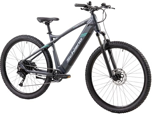 F.lli Schiano E-Mercury, E Bike Mountainbike, 29 Zoll, 36V 20Ah (720Wh) Abnehmbarer Akku, Motor 250W 55Nm, MTB Ebike für Herren/Damen, Schwarz-Blau