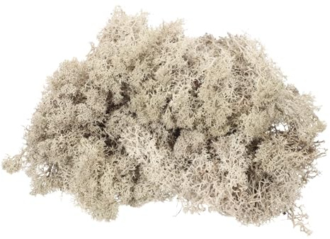 QUARKZMAN 3oz Muschio Preservato Di Renna, Muschio Artificiale Marrone Decorativo Per Piante In Vaso Artigianato Interno Lichene Centrotavola Decor