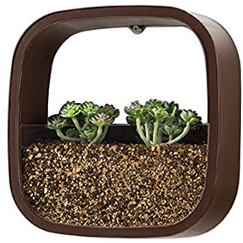Yoommd Hängende Wandvase, Wandmontage, Vierseitiges Design, geometrischer Wand-Pflanzgefäß für Garten Balkon Innenhof Außenbereiche Dekor Geschenk, Pflanzenbehälter für Sukkulenten (Braun)