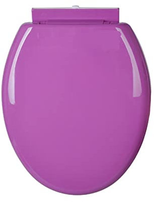 Abattant WC avec Frein De Chute (Ovale, Duroplast), Premium Lunette WC Antibactérien, WC Abattant Clipsable, Lunette WC Frein De Chute, Fixation Abattant WC,Violet