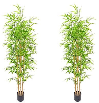 Valyria Home - Pack de 2 Plantas Artificiales de Bambú - Tamaño 180 cm - Plantas de Plástico - Cañas Realistas y Exóticas - Planta Artificial Grande - Decoración del Hogar Realista y Decorativa