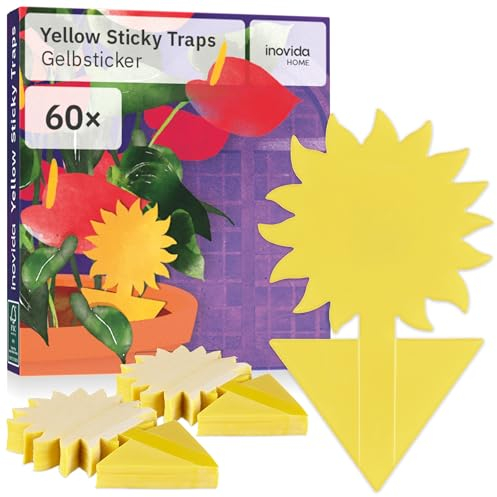 Gelbsticker Trauermücken: 60 Trauermücken Gelbsticker für Zimmerpflanzen ohne Insektizid – Mit Gelbtafeln Trauermücken bekämpfen – Fliegenfalle Klebefalle – Mittel gegen Trauermücken – von Inovida