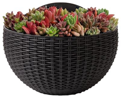 Opdestn Pot de Murale - Jardinière Murale d'Intérieur Rotin Imitation - Jardinière Élégante Demi-Circulaire pour Orchidées Bégonias Pothos Pétunias