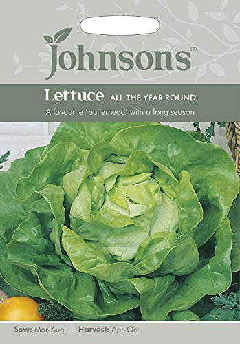 Johnsons Seeds Lettuce All The Year Round Seed