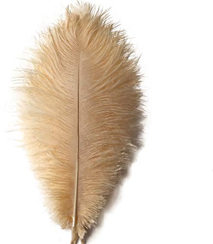 Sowder 20 st naturliga 25–30 cm (10–12 tum) strutsfjädrar plym för bröllop bordsuppsatser heminredning (champange)