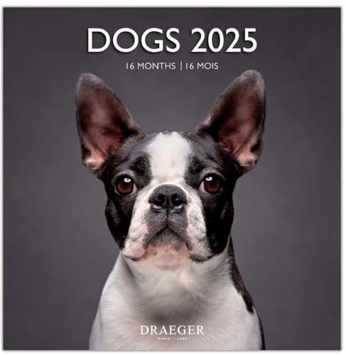 DRAEGER PARIS 1886 - Grand Calendrier Mural 29x29 cm 2025-7 Langues - Septembre 2024 - Décembre 2025 - Thèmes Variés : Chiens - 12 Photos - Papier FSC - Notez Rendez-vous & Anniversaires