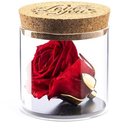 Amoroses Bijou - Rose éternelle stabilisée avec Calice plaqué Or 24K dans Un conteneur en Verre | Idée Cadeau