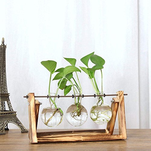 Vaso a bulbo in Vetro con Retro Stand in Legno massello e portautensile in Metallo Rotante per Piante in Coltura idroponica Fioriera in Vetro da Tavolo per casa/Giardino/Matrimonio,11x 5.5