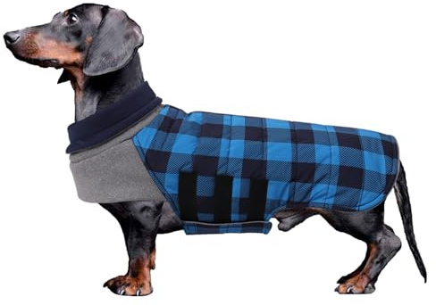 Geyecete Dackel Mantel Winter, Warmer Hunde wintermantel,wasserdichter Hundemantel mit Leinenloch,Hundepullover Hundemantel für kleine Hunde Dackel-Blau-L