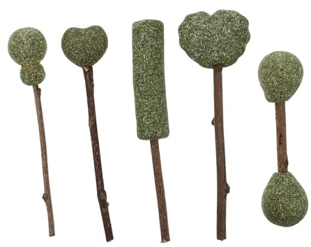 FRCOLOR 5 pièces Bâtonnets à Herbe à Chat Naturels Sucettes à Mâcher pour Chats Snacks Nettoyants Dents Interaction Quotidienne