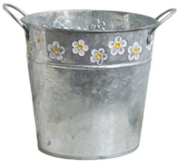 BESPORTBLE Blumeneimer Metall Blumentopf Blumenvase Metalleimer Blecheimer Minieimer Vintage Eimerchen für Hochzeit Party Tischdeko Garten Deko