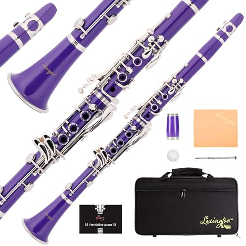 Aileen Lexington Bb Flat 17 Key Clarinet with One-Month Free Lesson, Reed, Mouthpiece, Hard Case, Cork Grease, Screwdriver and Other Kit (Purple, 17 Key)