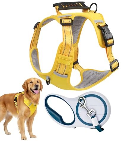Hundsele,Utrymningssäker Bekväm Väst Med Justerbart Bröstband,Valpsele För Dagliga Promenader - Perfekt För Uteaktiviter I Trädgård Tillsammans Med Familj Och Vänner Medelstora