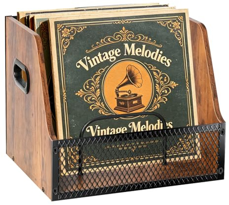 BILIONE Schallplatten Aufbewahrung aus Metall und Holz mit Trennwand | für 7/10/12 Zoll Vinyl, 60 LPs Schallplattenständer, Schallplattenhalter, Organisator für CD, Alben, Zeitschriften, Buch