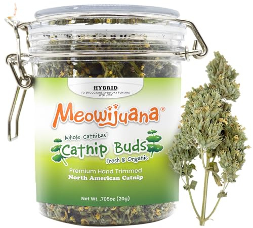 Meowijuana Dried Catnip Buds Jar for Cats | High Potency Whole Blossoms