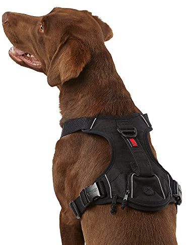 KONG Ultra Durable Waste Bag Harness (Small, Black)