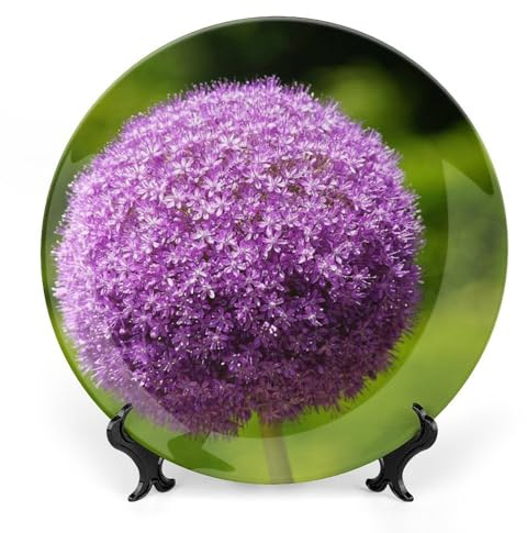 Allium Flowers Plant Decorative Plate for Wall Ceramic Home Wobble-Plate with Display Stand Table Decor Ornament Thanksgiving Christmas Decoration Porcelain Dinner Plate Dessert Dish 8