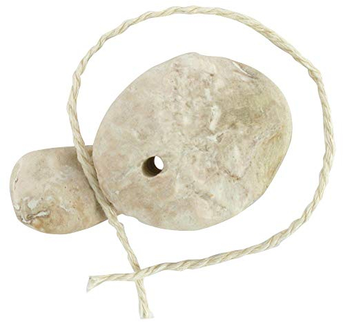 Veilchenwurzel Premium Extra Groß