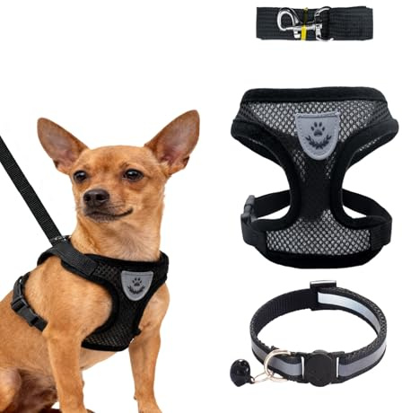 Imbracatura e Guinzagli, Pettorina Imbottita a Morbida per Cuccioli e Gatti Pettorina Collare Accessori Antifuga Imbracature Traspiranti Regolabili Riflettenti per Camminare Corsa Allenamento(Nero S)